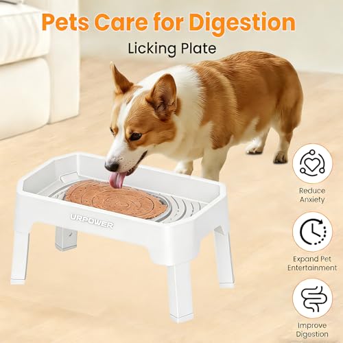 Elevated Dog Bowls (Light Grey / Large)