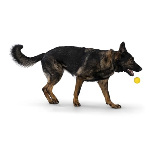 Boundr Ball Dog Fetch Toy (Small (Pack of 2) / Dandelion)