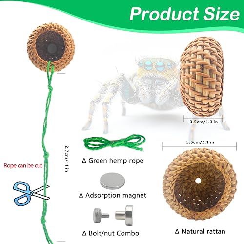 1 Pcs Jumping Spider Accessories