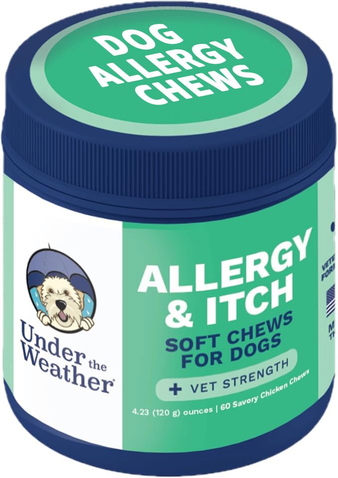 Allergy & Itch Pet Allergy Chews for Dogs
