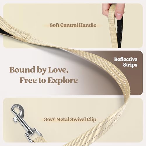 Dog Harness Medium Sized and Leash Set (Beige Check / M (chest: 16 - 18.5"))