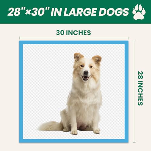 200 Count Large Dog & Cat Puppy Pee Pads (30" x 28" (200 Count))