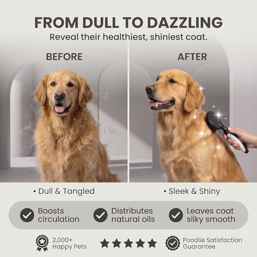 Round Bristle Pet Brush for Dogs and Cats (Black)