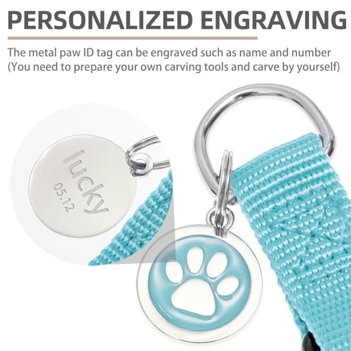 No Pull Dog Harness Small Sized Step (Light Blue / X-Small)