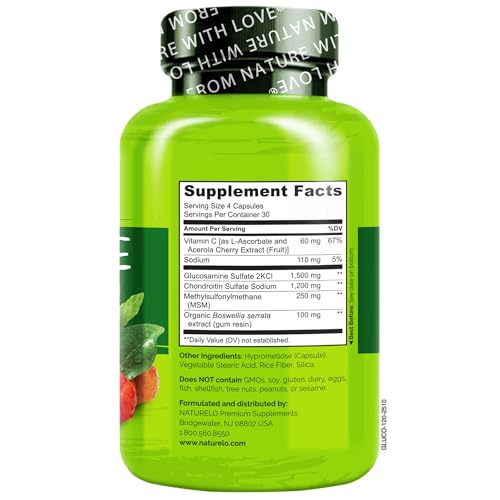Glucosamine Chondroitin MSM with Boswellia (120 Count (Pack of 1))