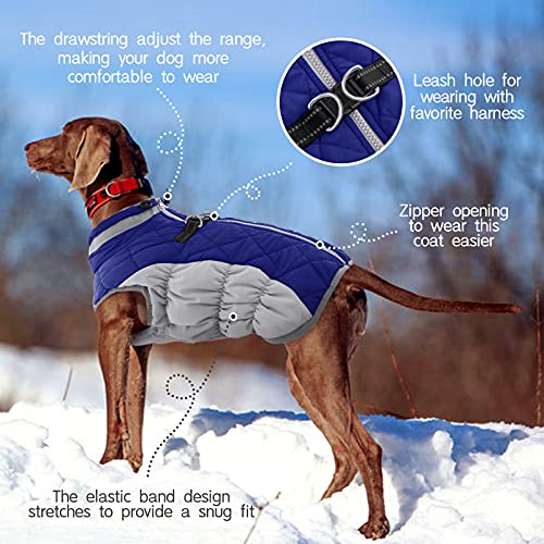 Dog Coat for Large Dogs (Blue / XXL(chest:35in))