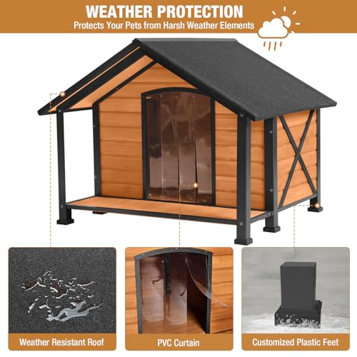 Dog House Outdoor & Indoor