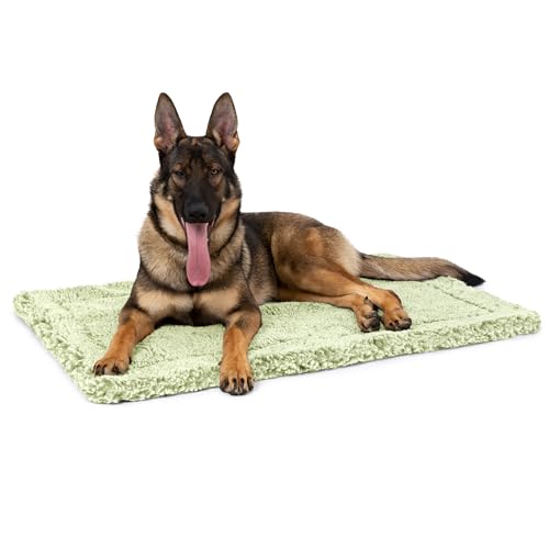 Stoutwool Indestructible Dog Bed (47.0"L x 29.0"W x 2"Th / Gleam)