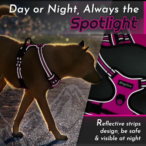 Dog Harness for Large Dogs (Large / Rose Red)