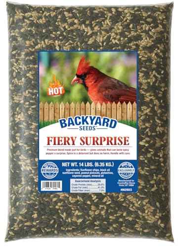 Backyard Seeds 14LB Fiery Surprise Spicy Bird Seed Blend (Fiery Surprise / 14 Pound (Pack of 1))
