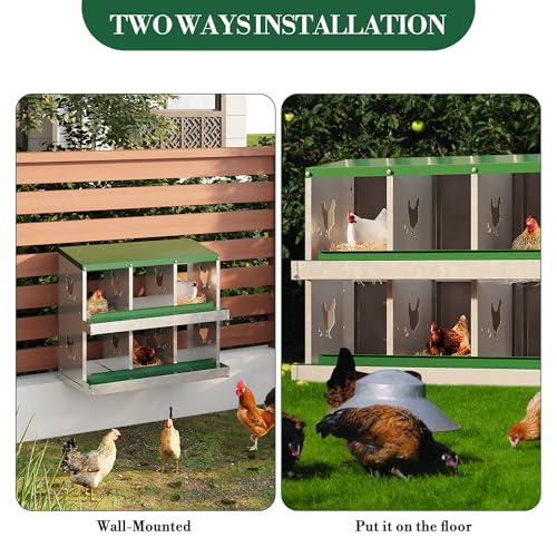6 Hole Chicken Nesting Box with Roll Out Egg Tray