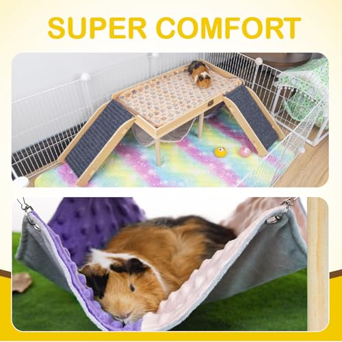 Enlarged Guinea Pig Hammock with Platform and Stairs (Hammock with 2 ramps)