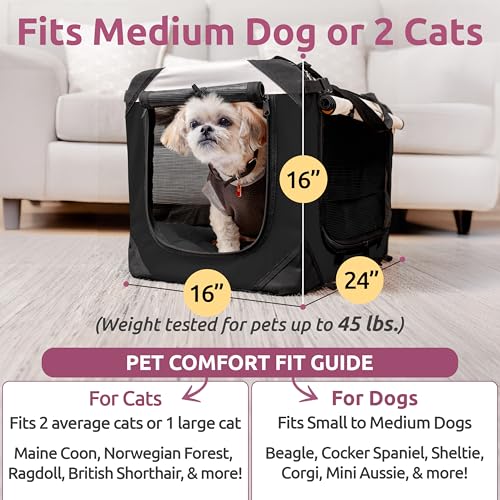 Cat & Dog Pet Carrier (Black / Large)