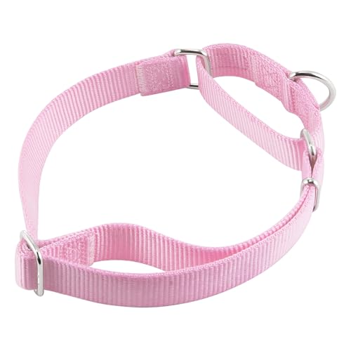 Martingale Collar for Dogs (XL / Pirouette Pink)