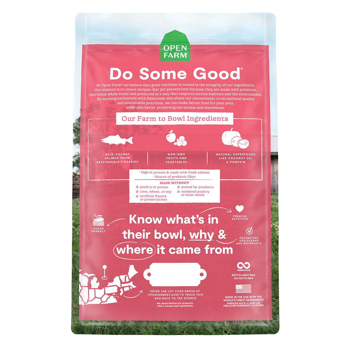 Grain Free Dry Cat Food (4 Pound (Pack of 1))