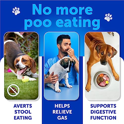 No Poo Chews for Dogs (8 oz)