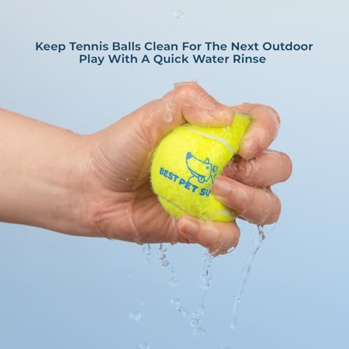 Interactive Squeaky Dog Chew Toy (Tennis (Yellow) / Large)