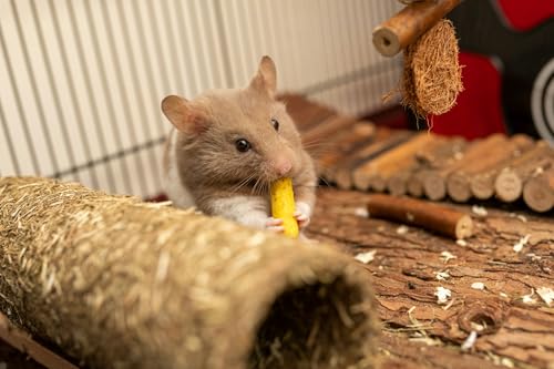 Wooden Hamster Suspension Bridge Toy