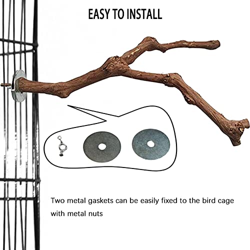 Bird Perches for Cage