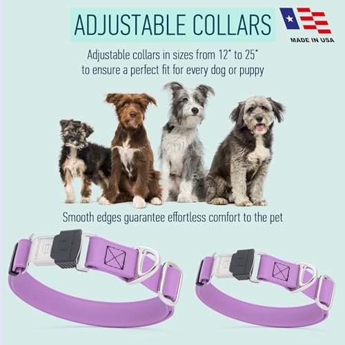 Biothane Waterproof Dog Collar with Herm Sprenger Stainless Steel Quick Release Buckle (W 1" x L 15"-25" / Amethyst Purple)