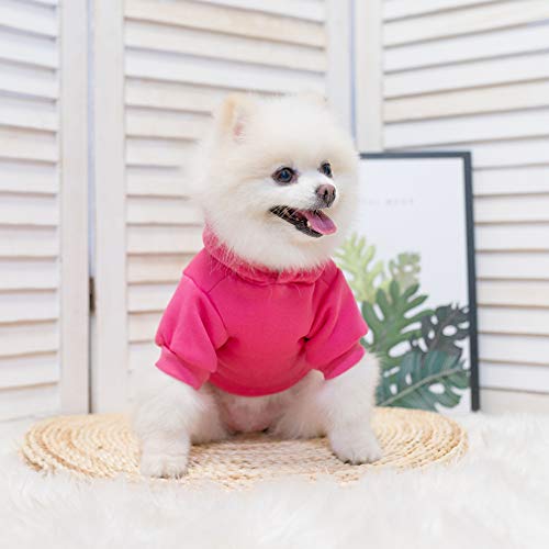 Dog Hoodie for Large Medium Small Dogs (Deep Pink / Medium)
