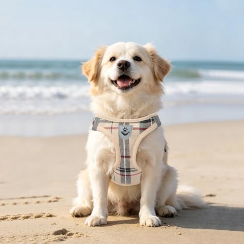 Dog Harness Collar and Leash Set No Pull for Small Medium Sized (Beige / XXS (CHEST 11.5"-13"))