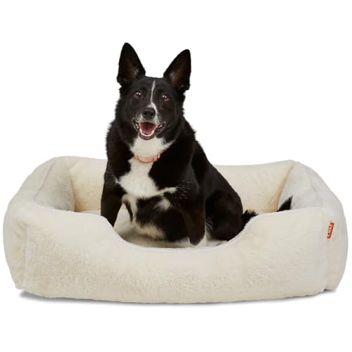 Luxury Aesthetic Dog Bed for Medium Dogs with Washable Cover (Soft White / Medium)