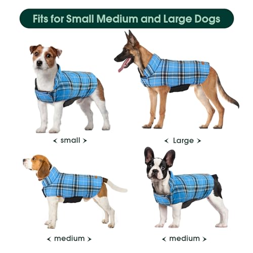Waterproof Dog Coat (Blue / Small (Pack of 1))