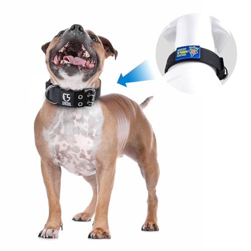 Heavy Duty Tactical Dog Collar with Patch (L/XL – Fits Neck 19.5"-23.5" / Basic Green)