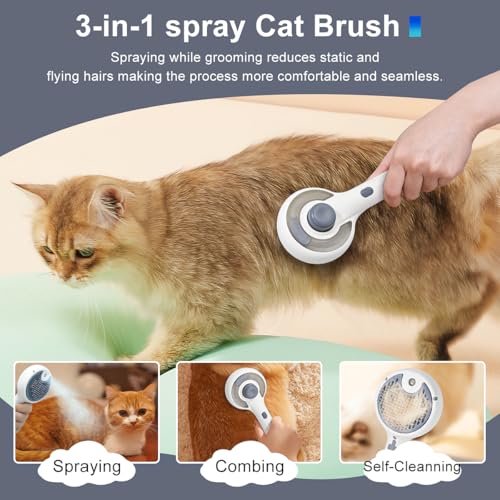 Cat Steam Brush