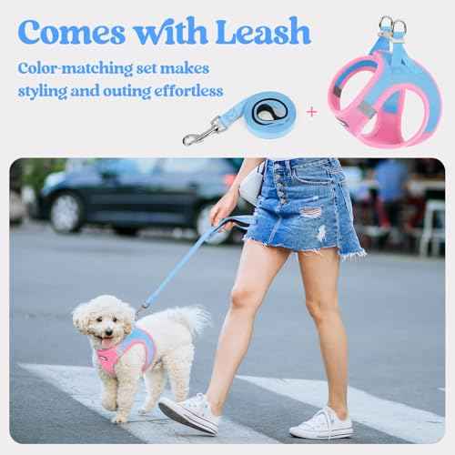 Dog Harness Small Sized and Leash Set (Blue & Light Pink / Xs (chest: 13.3 - 15.5"))