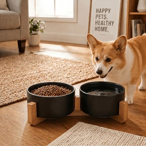 Ceramic Dog and Cat Bowl Set with Wooden Stand (3.6 cups / Black × 2)
