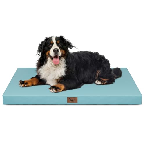 Outdoor Extra Large Dog Bed XXL for Giant Breed Dogs (Light Blue / 47.0"L x 29.0"W x 3.5"Th)