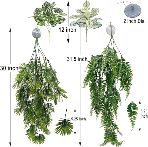 Reptile Plants for Bearded Dragon Tank Accessories (Group Abn)