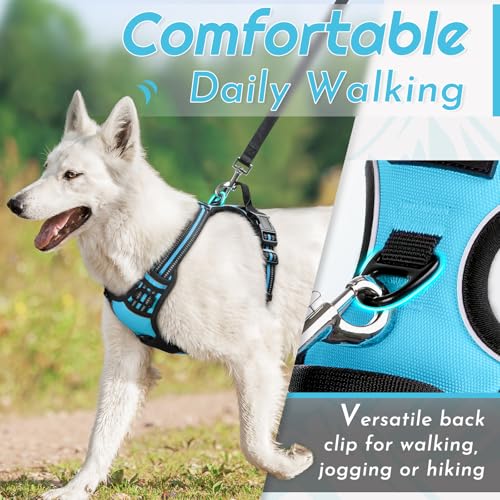 Dog Harness for Large Dogs (X-large / Sky Blue)