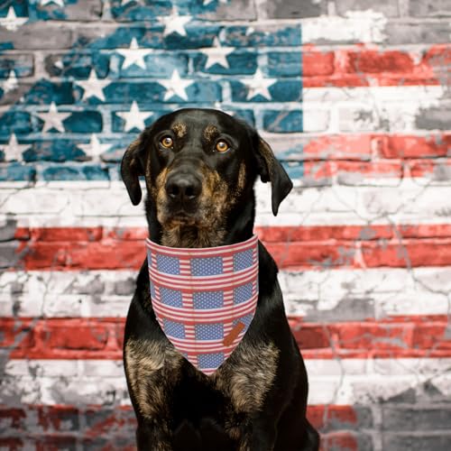 American Flag Dog Bandana (Small / Flag)