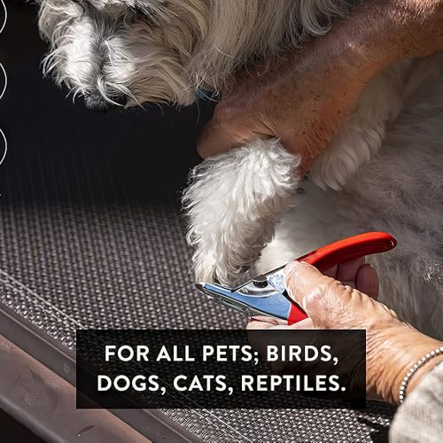 Pet Care Pedicure Kit for Dogs (3 Nail Clippers Plus Nail File)