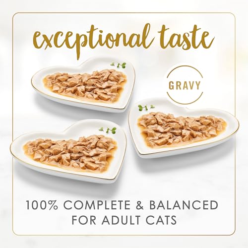Purina Fancy Feast Gravy Lovers (3 Ounce (Pack of 24))
