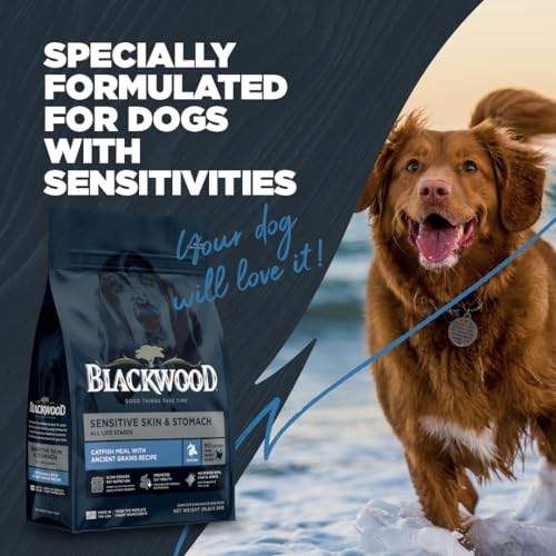 Sensitive Premium Dry Dog Food (Catfish Meal with Ancient Grains / 4.5 Pound (Pack of 1))