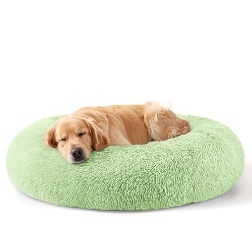 Dog Beds Large Sized Dog and Cats (Green / 32.0"L x 32.0"W x 8.0"Th)