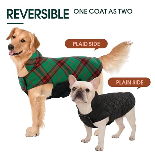 Waterproof Dog Coat (Christmas Green / Small (Pack of 1))