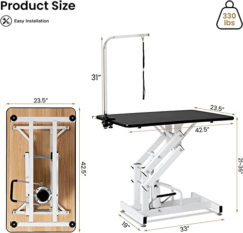 Hydraulic Dog Grooming Table (Single arm)