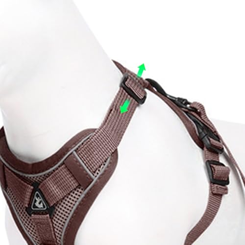 cat Chest Harness and Leash (Brown / L:11.02-16.5lb)