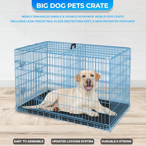 42" Foldable Metal Dog Crate (Blue)