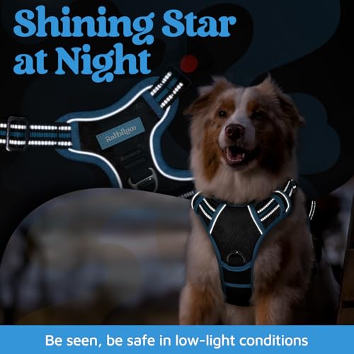 Dog Harness for Large (Black & Blue / Large)