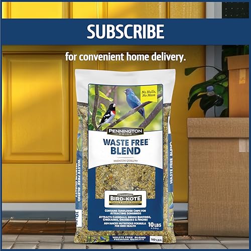 Classic Bird Seed Bird Food (10 pounds)