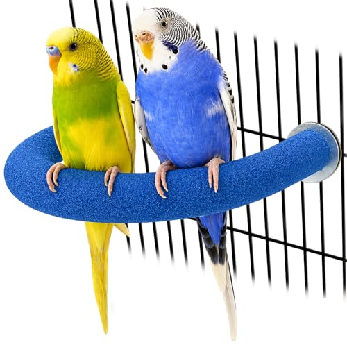 U Shaped Parrot Perch (Small / Blue)