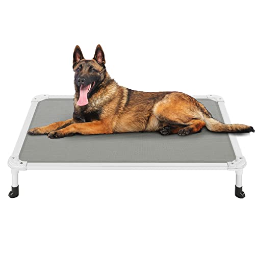 Chew Proof Elevated Dog Bed (Gray / 42.0"L x 30.0"W x 7.0"Th)