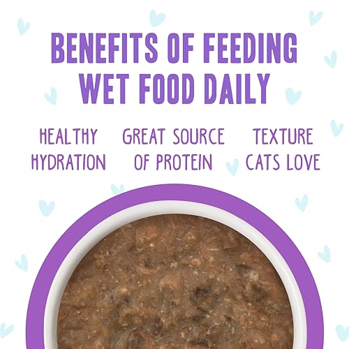 B.F.F. OMG Best Feline Friend Oh My Gravy! (2.8 Ounce (Pack of 12))