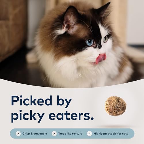 Peak Steam & Dried Cat Food (4.9 Pound (Pack of 1))